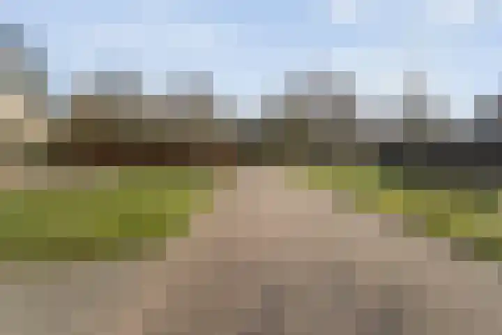 Grondzeiler 3 Dalen thumbnail 4