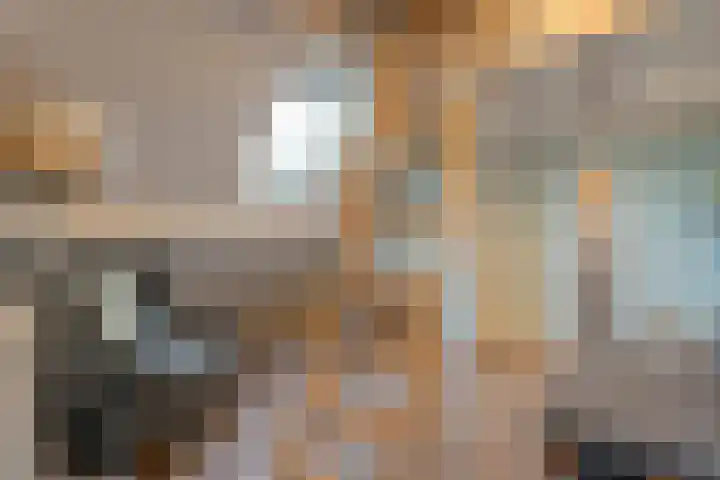 Grondzeiler 3 Dalen thumbnail 40