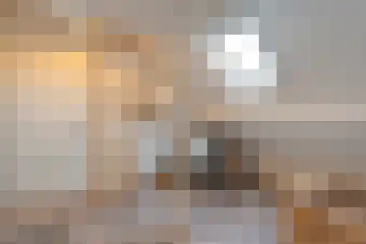 Grondzeiler 3 Dalen thumbnail 42