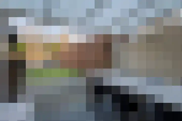 Grondzeiler 3 Dalen thumbnail 43