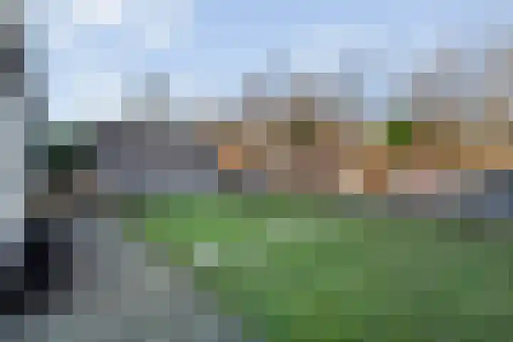 Grondzeiler 3 Dalen thumbnail 44