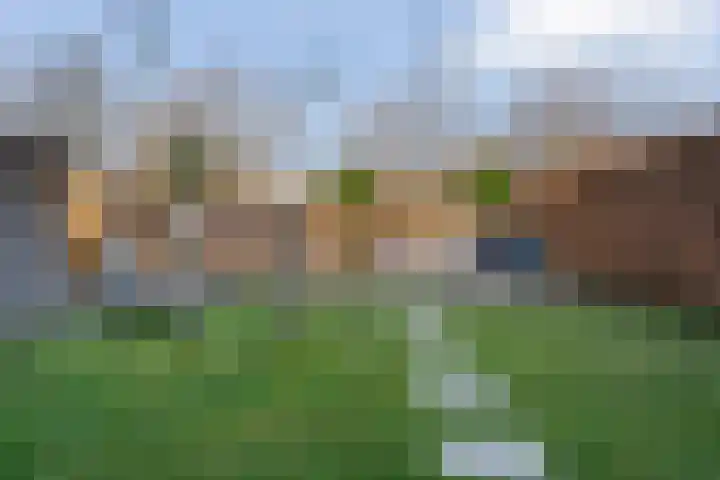 Grondzeiler 3 Dalen thumbnail 45