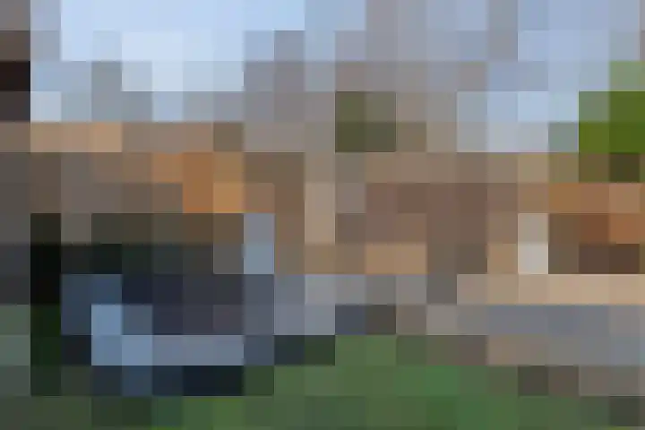 Grondzeiler 3 Dalen thumbnail 46