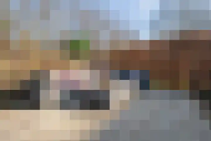 Grondzeiler 3 Dalen thumbnail 47