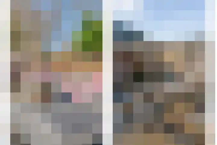 Grondzeiler 3 Dalen thumbnail 48