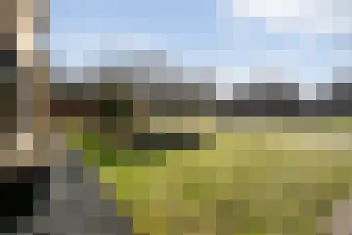 Grondzeiler 3 Dalen thumbnail 5