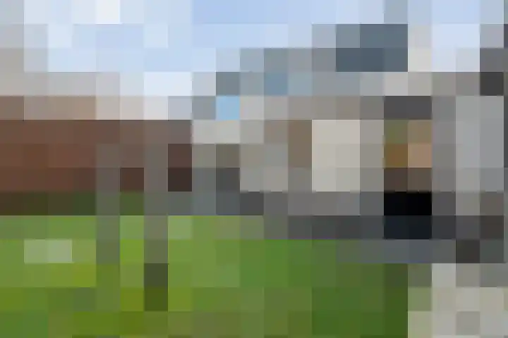 Grondzeiler 3 Dalen thumbnail 50