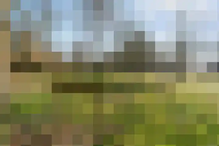Grondzeiler 3 Dalen thumbnail 51