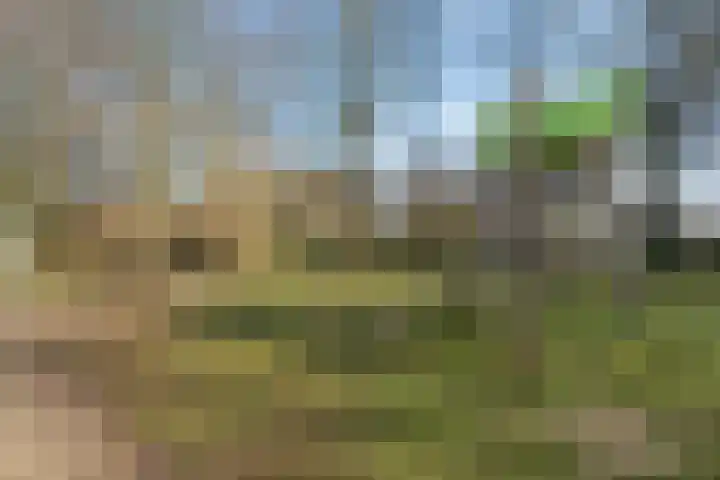 Grondzeiler 3 Dalen thumbnail 52