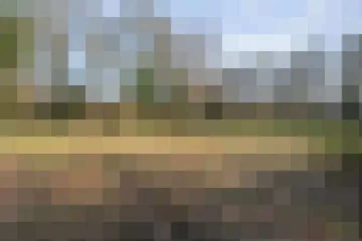 Grondzeiler 3 Dalen thumbnail 53