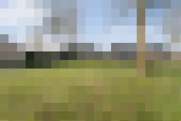 Grondzeiler 3 Dalen thumbnail 6