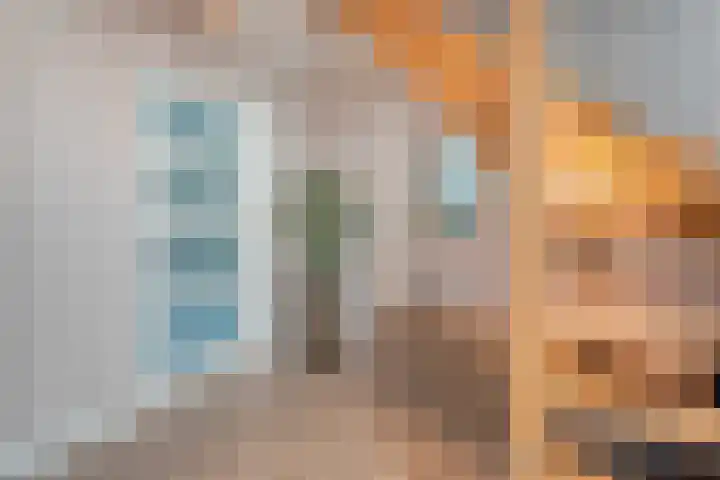 Grondzeiler 3 Dalen thumbnail 9