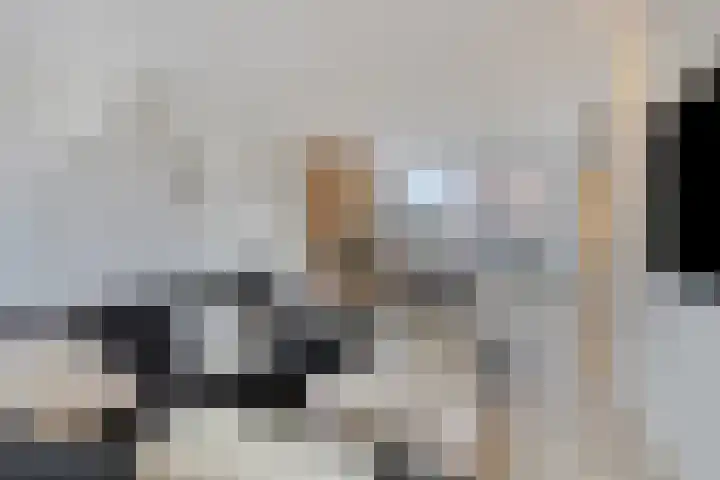 Grondzeiler 5 Nieuw-Vossemeer thumbnail 10