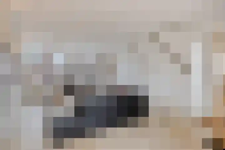Grondzeiler 5 Nieuw-Vossemeer thumbnail 12
