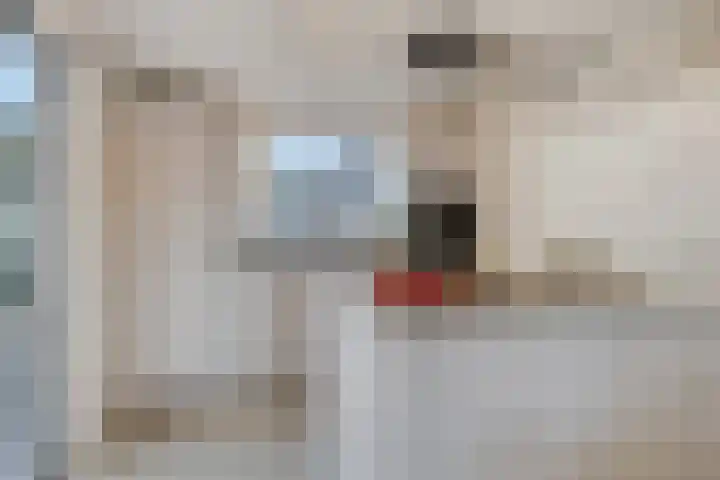 Grondzeiler 5 Nieuw-Vossemeer thumbnail 13