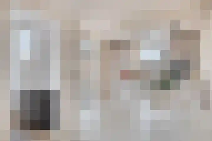 Grondzeiler 5 Nieuw-Vossemeer thumbnail 14