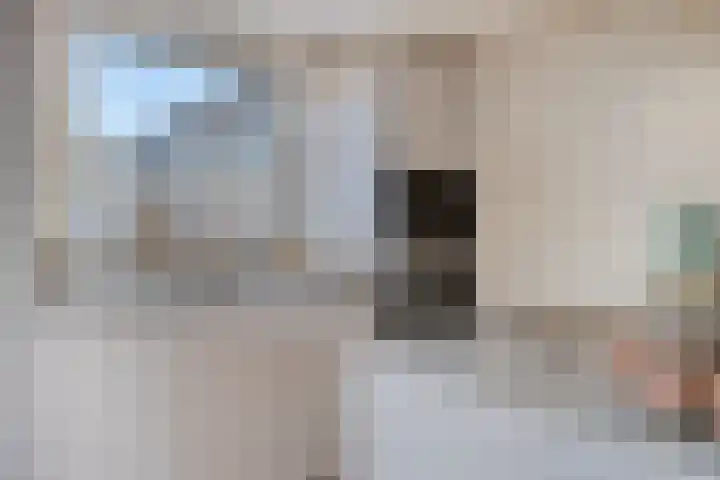 Grondzeiler 5 Nieuw-Vossemeer thumbnail 15