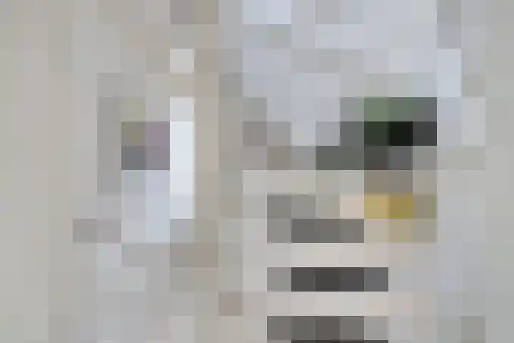 Grondzeiler 5 Nieuw-Vossemeer thumbnail 17