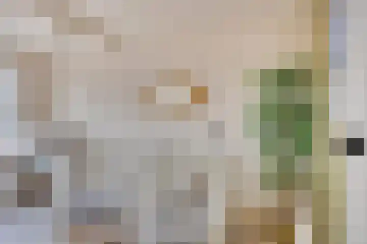 Grondzeiler 5 Nieuw-Vossemeer thumbnail 19