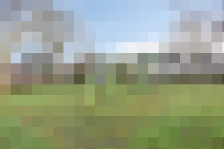 Grondzeiler 5 Nieuw-Vossemeer thumbnail 27