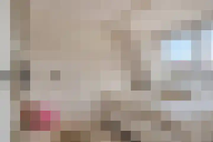 Grondzeiler 5 Nieuw-Vossemeer thumbnail 4