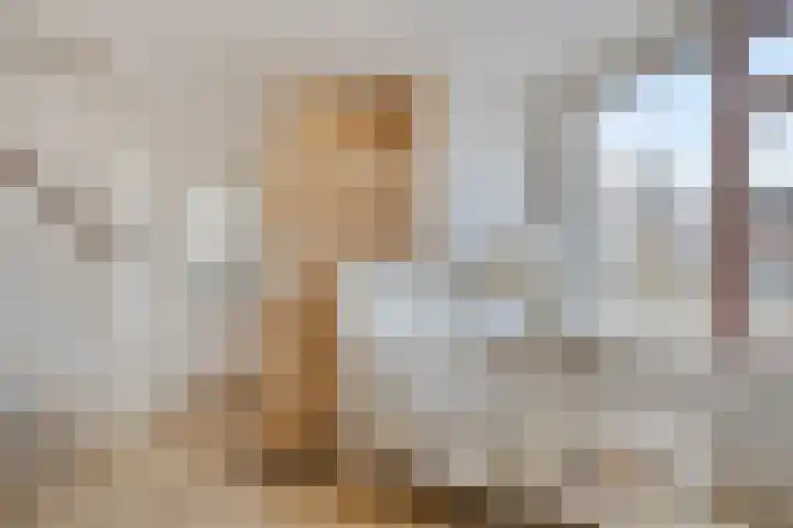 Grondzeiler 5 Nieuw-Vossemeer thumbnail 8