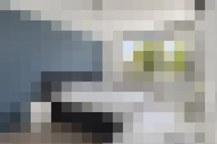Grondzeiler 9 Heerjansdam thumbnail 14
