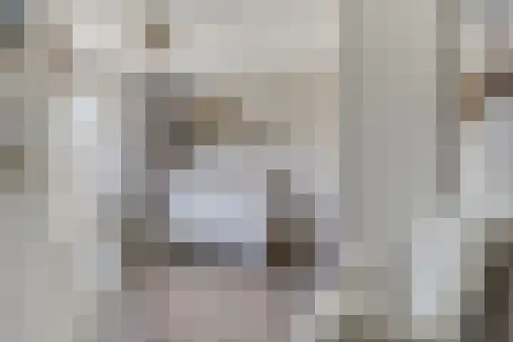 Grondzeiler 9 Heerjansdam thumbnail 16