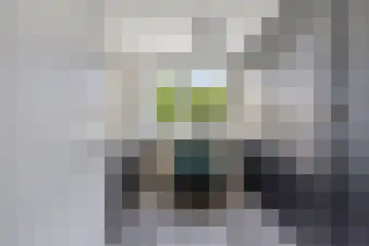 Grondzeiler 9 Heerjansdam thumbnail 18