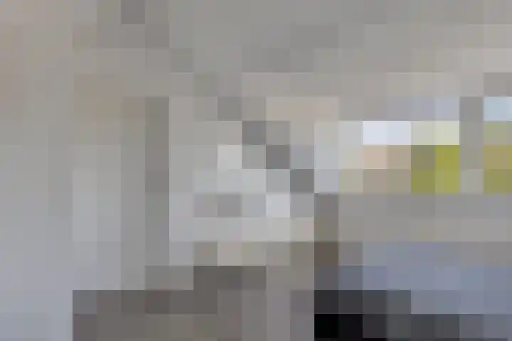 Grondzeiler 9 Heerjansdam thumbnail 25