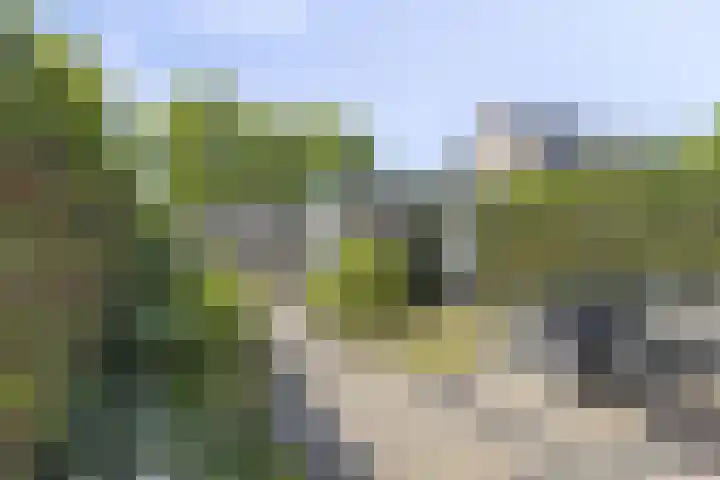 Grondzeiler 9 Heerjansdam thumbnail 26