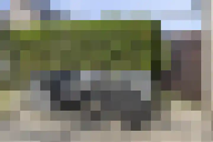 Grondzeiler 9 Heerjansdam thumbnail 27