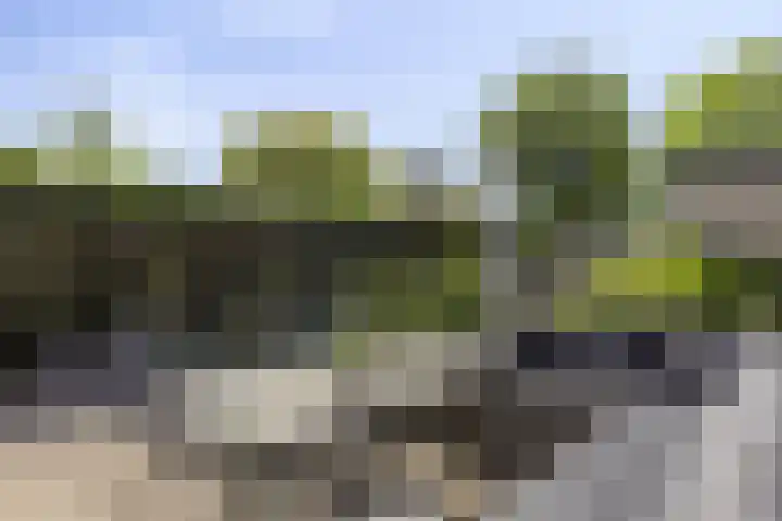 Grondzeiler 9 Heerjansdam thumbnail 28