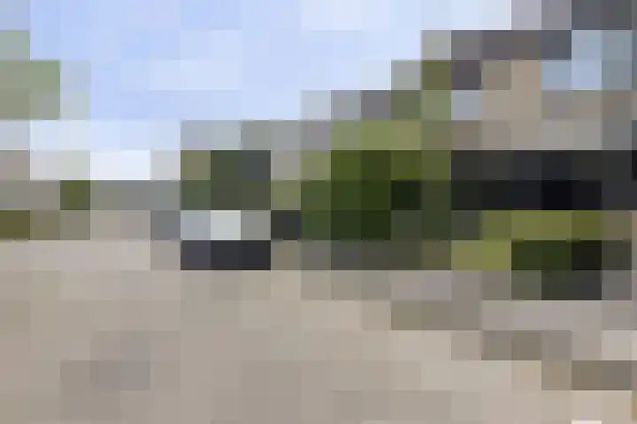 Grondzeiler 9 Heerjansdam thumbnail 30