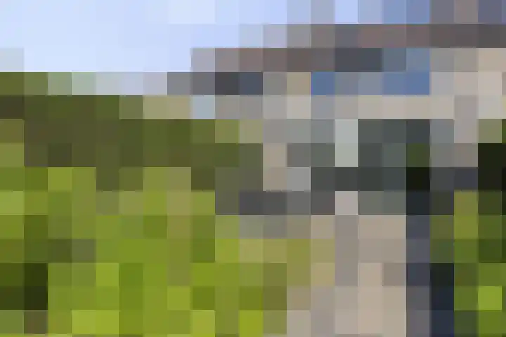 Grondzeiler 9 Heerjansdam thumbnail 5