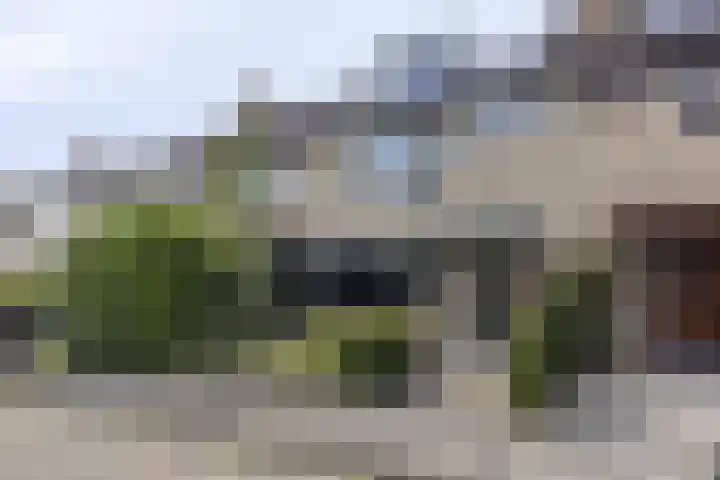 Grondzeiler 9 Heerjansdam thumbnail 6