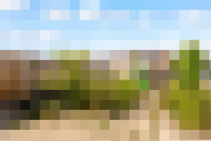 Grondzeilerplantsoen 13 Almere thumbnail 22