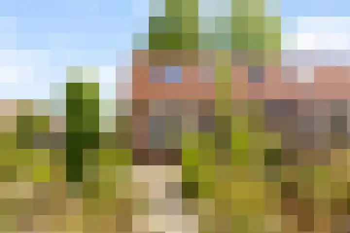 Grondzeilerplantsoen 13 Almere thumbnail 23
