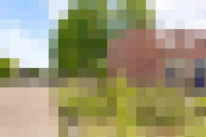 Grondzeilerplantsoen 13 Almere thumbnail 25