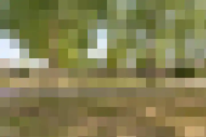 Grondzeilerplantsoen 13 Almere thumbnail 28