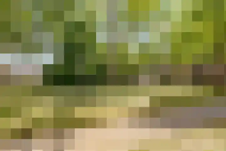 Grondzeilerplantsoen 13 Almere thumbnail 29