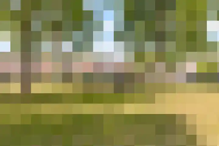 Grondzeilerplantsoen 13 Almere thumbnail 30