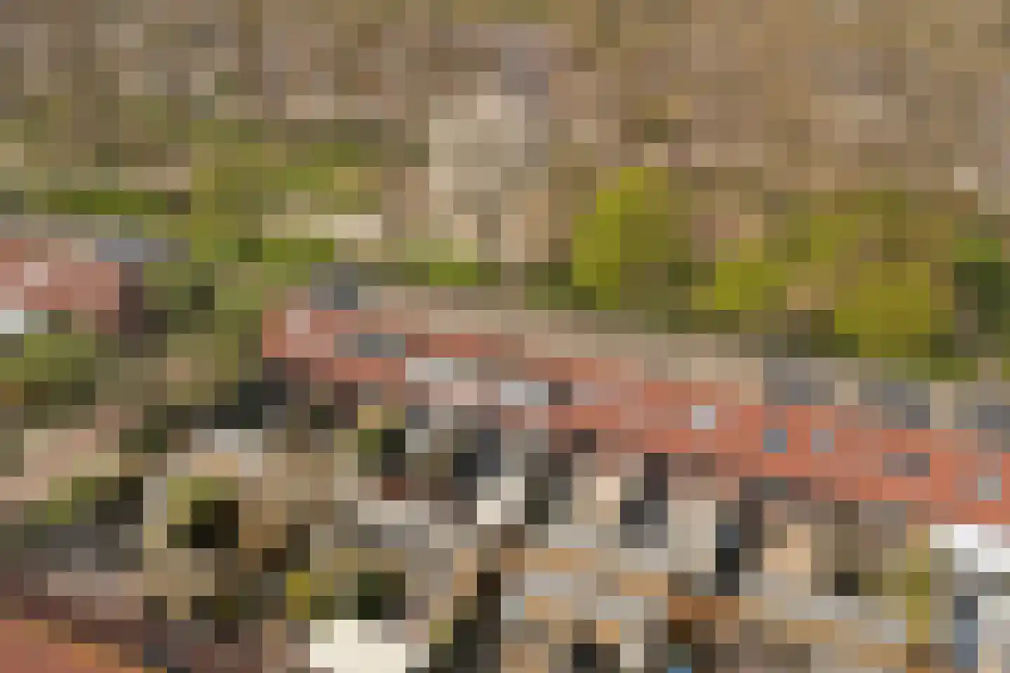 Grondzeilerplantsoen 69 Almere thumbnail 11