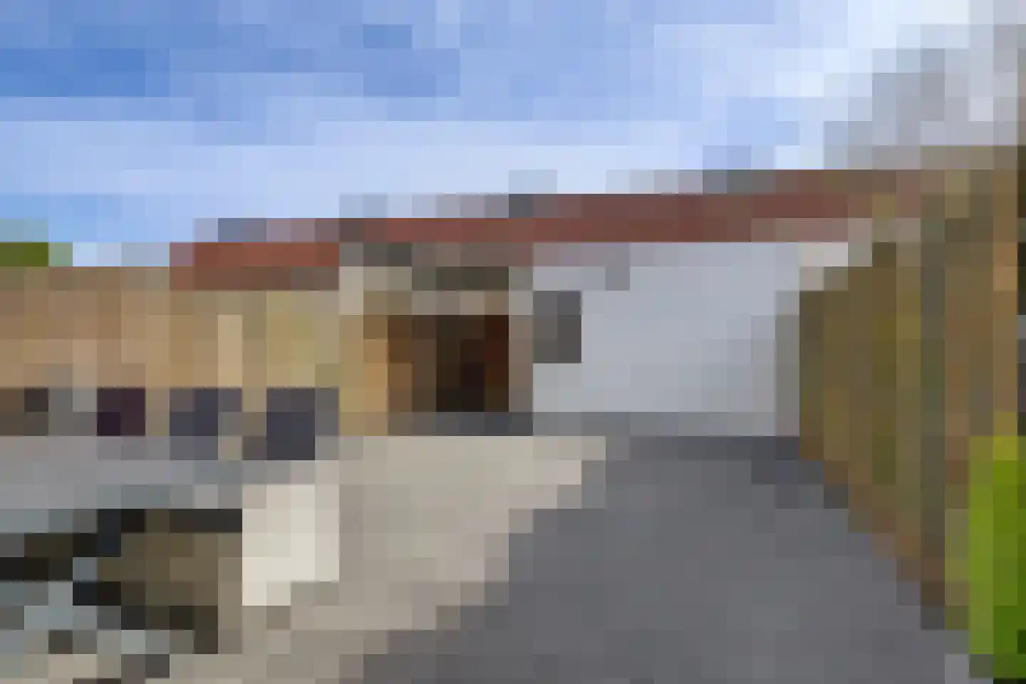 Grondzeilerplantsoen 69 Almere thumbnail 9