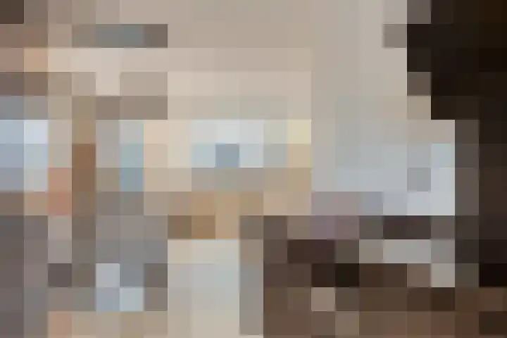 Grondzeilerstraat 10 Oude-Tonge thumbnail 14
