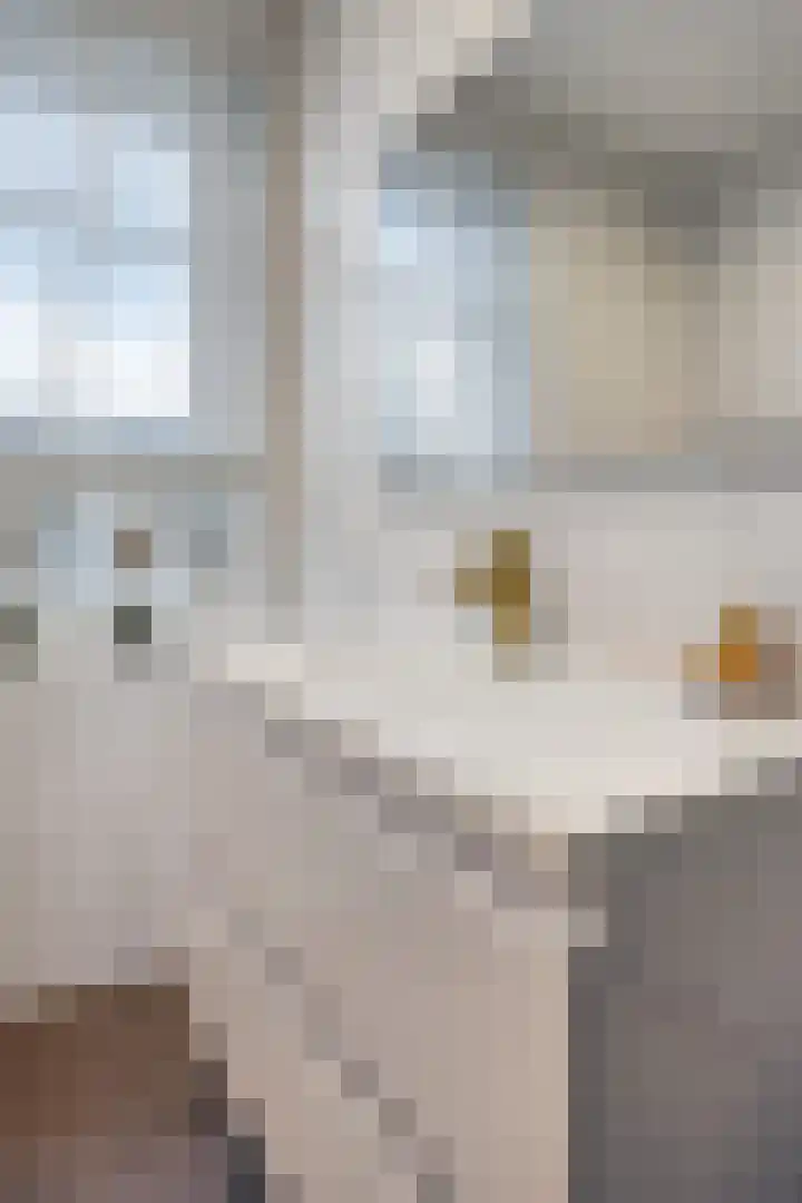 Grondzeilerstraat 10 Oude-Tonge thumbnail 18