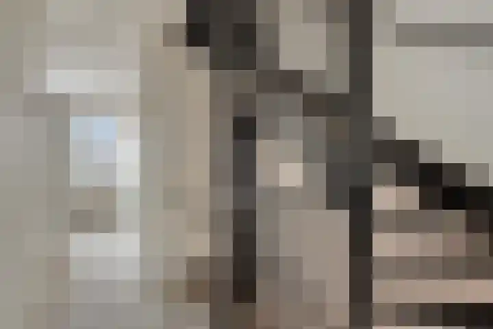 Grondzeilerstraat 10 Oude-Tonge thumbnail 22