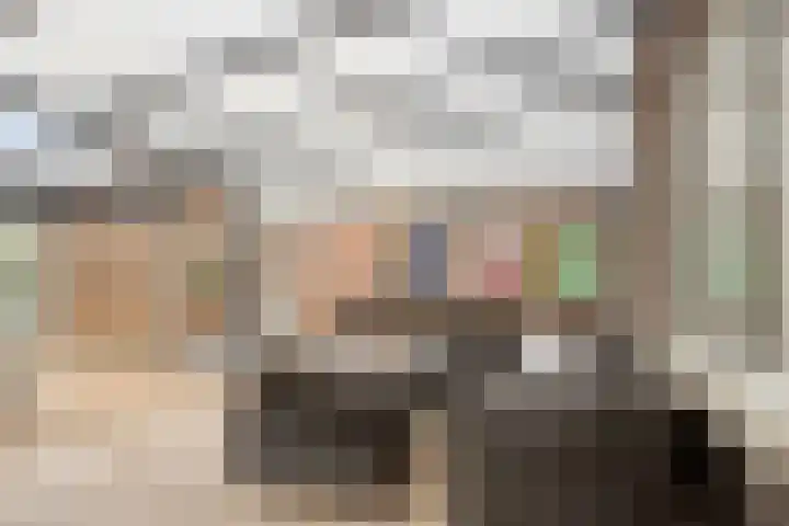 Grondzeilerstraat 10 Oude-Tonge thumbnail 26