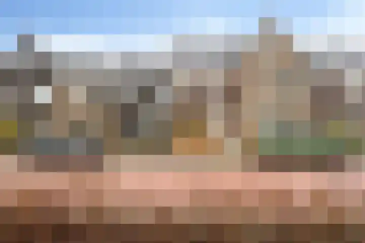 Grondzeilerstraat 10 Oude-Tonge thumbnail 30