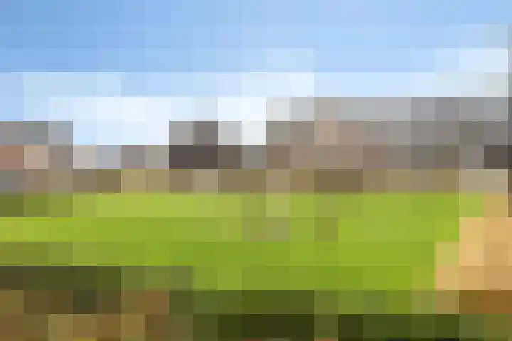 Grondzeilerstraat 10 Oude-Tonge thumbnail 32